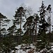 Vom Sattel nordwestlich der Burg aus wanderten wir nach Westen, bald auf einen schmalen Pfad wechselnd, der zu einem hübschen Rastplatz führt...