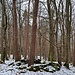 Von dort aus wanderten wir nun, dem nächsten namenlosen Pfad folgend, über den östlich gelegenen, ebenfalls namenlosen Berg...