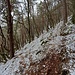 ...hinauf zu einem parallelen breiten Waldweg.