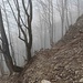 sul sentiero di discesa