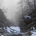 vista verso valle
