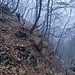 il sentiero di avvicinamento all'attacco del Canalone