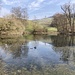 idyllischer Spittelweiher unweit ...