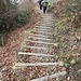 steiler Treppenanstieg ...