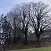 ... zum Hof Harisberg