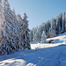 Winter Wunderland.