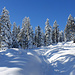 Winter Wunderland.