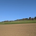 Besondere Steilheit besitzt der Lupfen hier nicht. Nach dem Ortsende gehts gemächlich hinauf. Die Sonne ist warm.