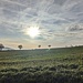 Impression auf dem Weg zurück nach Talheim.