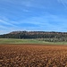 Rückblick Lupfen.
