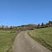 Im lichten Wald des Spätherbstes ist der Gipfelturm gut auszumachen und als Ziel perfekt anzupeilen.