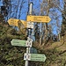 ...gemäß Wegweiser über die Heerstraße und den Lupfen-Brunnen.