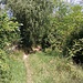 Anfangs teilweise noch schöne Wanderpfade