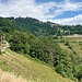 Hier sind wir schon auf gut 1100 Metern (als grobe Orientierung). Leider musste ich kurz darauf radikale Akkuschutzmaßnahmen ergreifen, daher gibt es vom eigentlich interessanten Teil der Wanderung so gut wie keine Bilder.