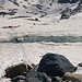 Ab hier dann eigentlich bis zur Hütte durchgehend im Schnee