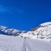 Gegen die Gemsfreiheit