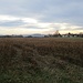 Rathewalde