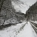 Kirnitzschtal