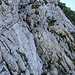 Die selbe Passage im Rückblick