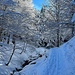 lungo la salita per la valle del Silenzio