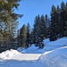 herrliche, winterliche Umgebung auf diesem Wanderweg