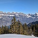 die Aussicht vom Foggen zum Wallensee und zu den Churfirsten