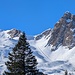 Zoom zum Sächsmoor