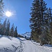 Sonne pur beim Abstieg zurück nach Tannenbodenalp