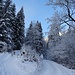 Die Skitour auf den Ponten beginnt bei kalten Temperaturen und frischem Neuschnee.