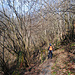Sonnig mangels Laub