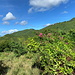Im Abstieg nach Colombier - Mit Blick zum Pic Paradis (rechts).