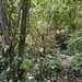 Unterwegs zwischen Pic Paradis und Flagstaff - Der Weg führt nördlich und westlich um den Gipfelaufbau des Berges Flagstaff herum. 