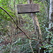 Unterwegs am Flagstaff - Undurchdringliches Gelände. Während es hier früher offenbar einen Weg gab (mit Stacheldrahtzaun, ...) wuchert nun (Sekundär-) Wald.