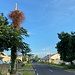 Bei Sandy Ground - Blick entlang einer typischen, wenig spektakulären Straße. Spektakulär ist allerdings gerade ein großer Leguan auf den zugewucherten Mast (links) geklettert.
