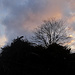 ... und mit schönem Morgenhimmel