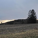 Nahe des Hochpunkts westlich von Freudenberg habe ich einen schönen Pano-Blick. Von den (s. Text) erwähnten Resten von Wall oder Mauer der "Burg Freudenberg" habe ich jedoch nichts bemerkt - allerdings auch nicht explizit danach gesucht, weil ich davon vorher nichts wusste.<br />Also da schau ich dann iwann nochmals vorbei.