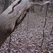Das Holz-Alien-Ding gibt mir die weitere Richtung vor