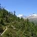 Im Aufstieg zur Bietschhornhütte gewinnt man schnell an Höhe und bald schon zeigen sich die ersten Gipfel