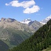 Die Gegenseite des Lötschentals ist mit dem Petersgrat vergletschert