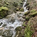 heute macht er seinem Namen alle Ehre, der Wildbach