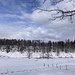 ... eine (einzige) kurze Aufhellung (Richtung Weissensteinpass)