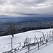 Blick von der Terrasse des Hotels über die eingeschneite Spielanlage zur mäandrierenden Aare ...