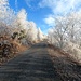 <b>Proseguo sulla strada agro-silvo-pastorale ancora priva di neve.</b>
