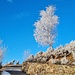 <b>È un giovedì di bel tempo, senza vento, con una frequenza di escursionisti praticamente nulla. Malgrado la rigida temperatura alla partenza, il sole riscalda in breve tempo l’aria, rendendo la gita gradevolissima. <br /></b>
