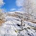 <b>Alla quota di 1430 m, ad est de Il Sasso (1437 m), posso indossare gli sci. La neve è trasformata e presenta a quest’ora una crosta portante. </b>