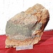 <b>Arsenopirite - FeAsS - 13,5 cm - Tecchio, Valle di Lana - Collezione personale.</b>