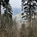 Durchblick zum Talschluss.