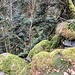 Herrliches Ambiente auf der Scheitellinie.