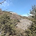 Vue du plan de glissement recouvert d'éboulis. En arrière-plan, la niche d'arrachement.