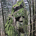 Ein düsteres Antlitz blickt mich aus dem dortigen Turm-Zacken an. [https://www.google.com/search?client=firefox-b-d&sca_esv=671628d501de9159&q=Osterinsel&udm=2&fbs=ABzOT_DDfJxgmsKFIwrWKcoyw2Rf7ED7CYyDAoRz3agYVnoe8UVw8adpCRzSzq6xx654mB9ZXOWW5sdp8hhZ_9duogg-WTP8RUlY1ayXgyQ5tQ4gFBMyxh0LSduE41gFfoddllXXHdP81sxoMtPSnlTYPgeF19oEG3YGQ_IjvSnGjiqDXu8hblo&sa=X&ved=2ahUKEwjLgImR3NWLAxUL3wIHHTnOI14QtKgLegQIDRAB&biw=1407&bih=967&dpr=2 Die Jungs auf der Osterinsel] haben einen Kumpel offenbar im Schwarzwald vergessen ... Weitere Kumpels übrigens [https://www.hikr.org/gallery/photo3368817.html?post_id=163549#1 hier] und [https://www.hikr.org/gallery/photo3864759.html?post_id=184511 da,] gleichfalls in Süddeutschland. Womit zweifelsfrei belegt ist, dass dieses Gebiet früher im Pazifik lag. Oder der Pazifik in Süddeutschland?!?
Ich wende mich wieder nach oben, denn aus der erreichten Einsattelung geht es nun ...